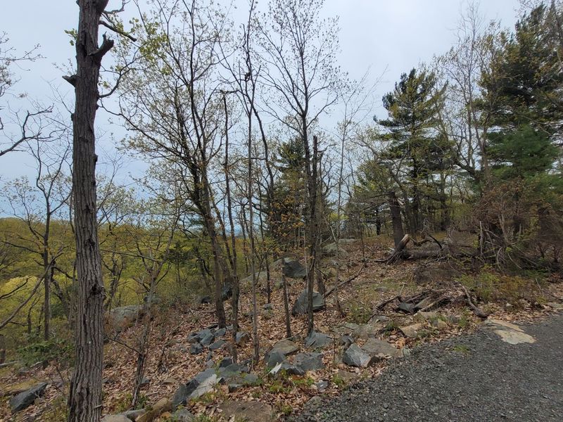 Small Discoveries Along the Trail