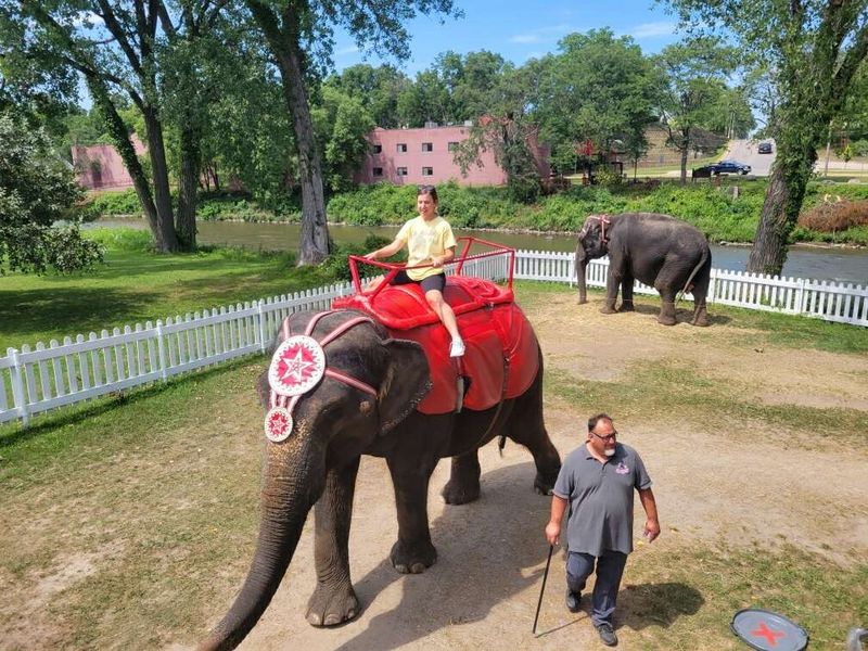Circus History Becomes Something Kids Can Picture