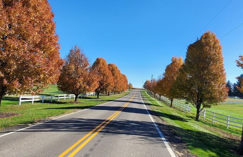 Scenic Drives That Begin Right In Town