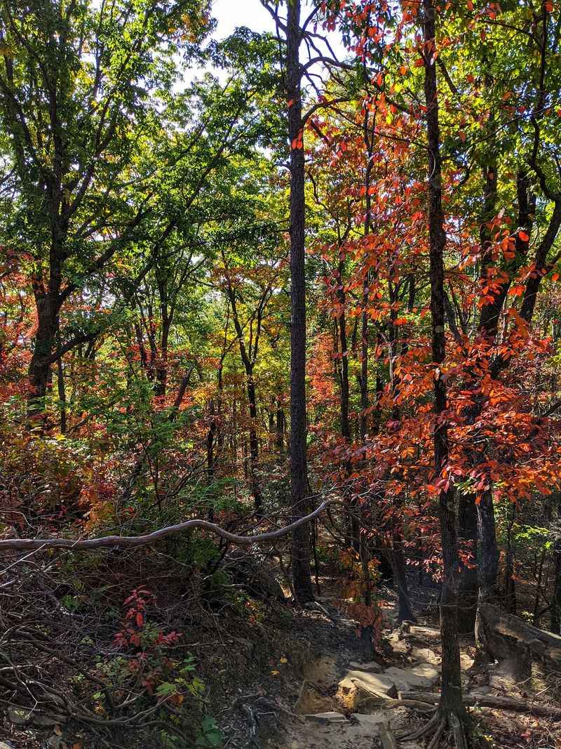 Table Rock Trail, Pickens, Pickens County