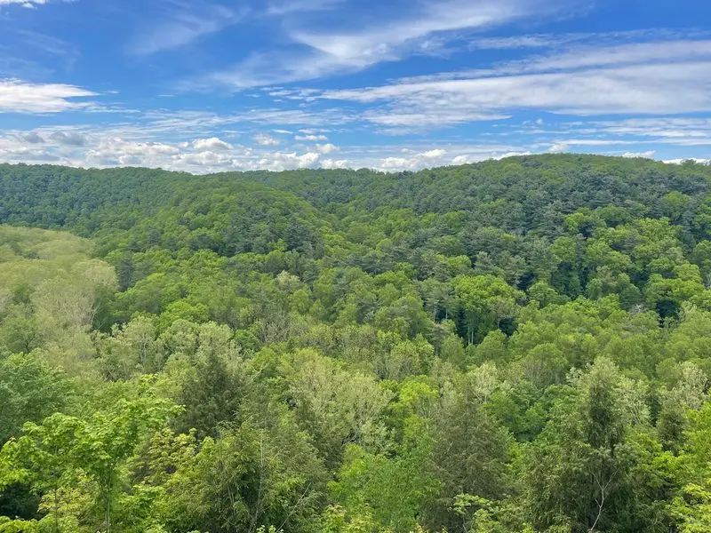 Gorge Overlook Trail