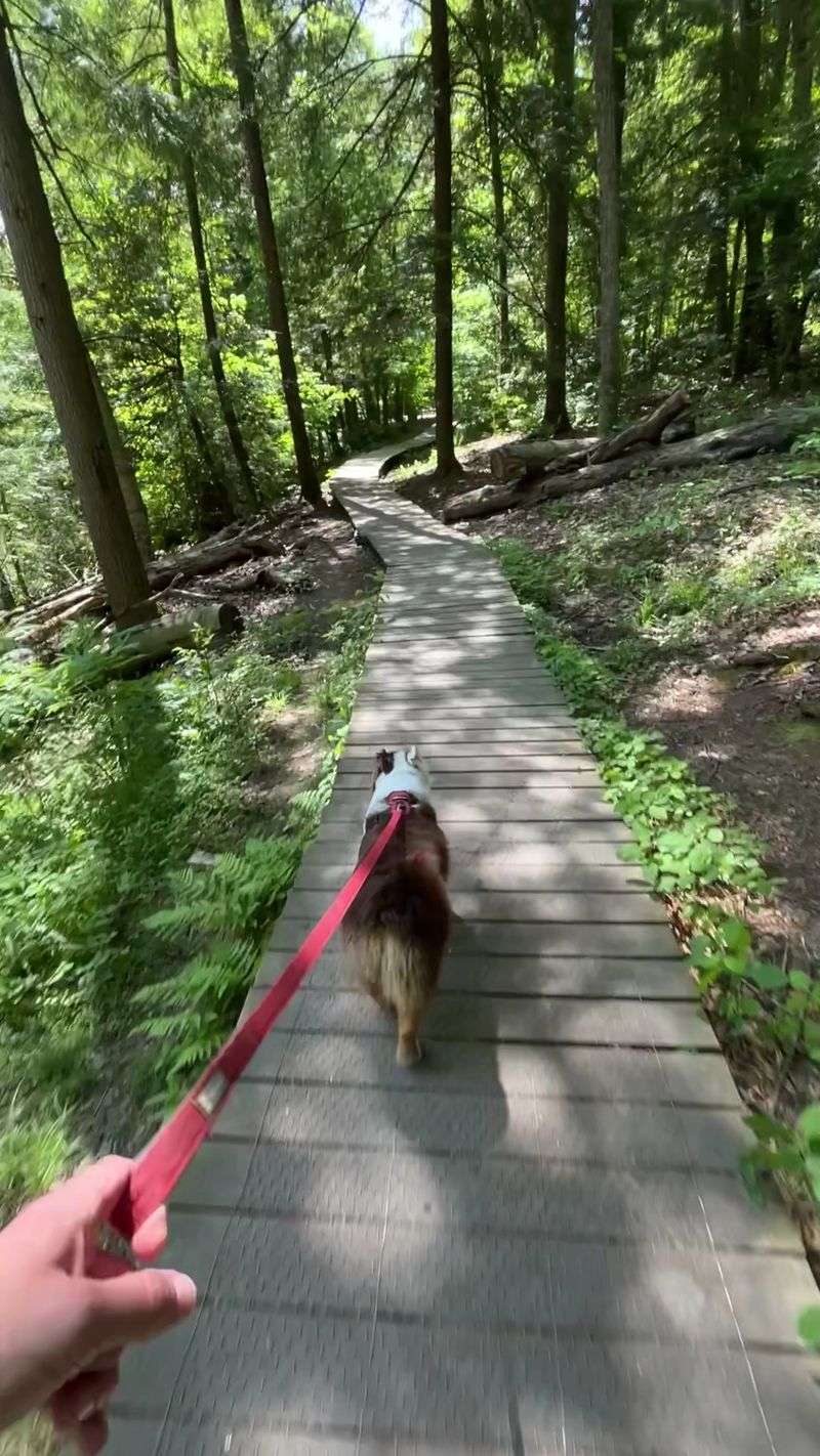 Mohican State Park Gorge Trail, Loudonville, Ashland County