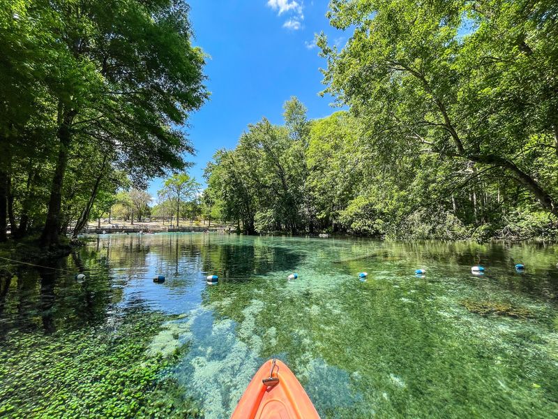Paddle the Springs at Gilchrist Blue Springs State Park in High Springs