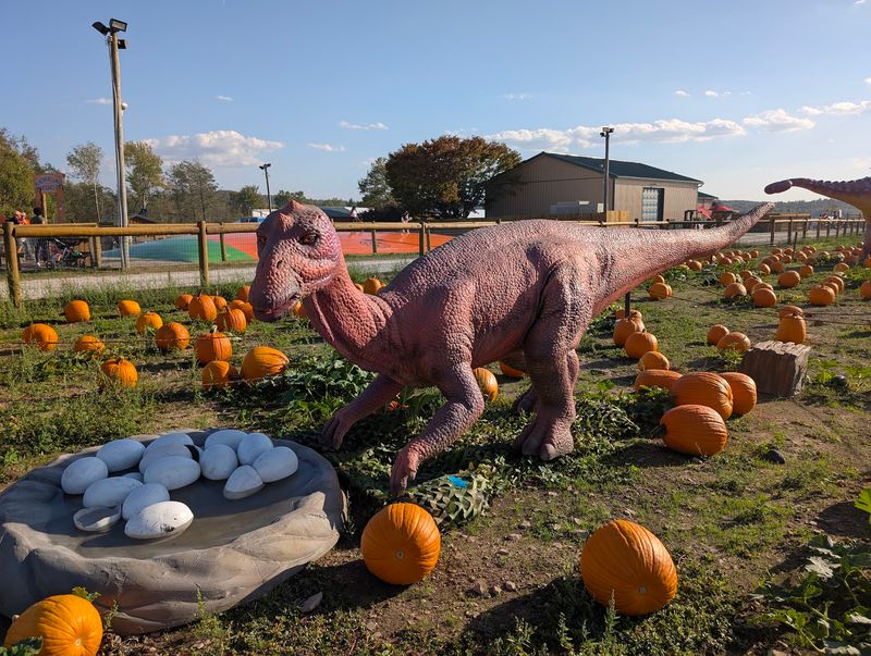 Roba Family Farms - North Abington Township