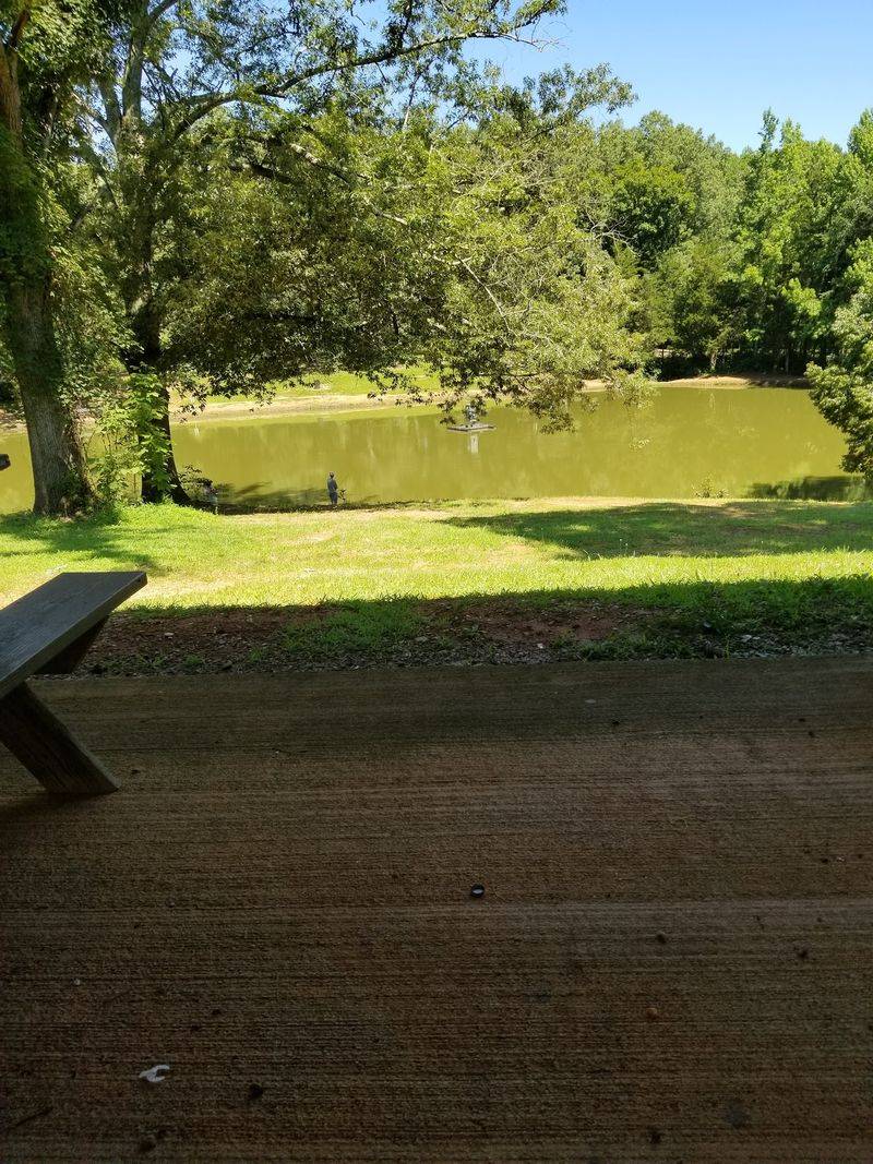 Haw River - Forested Sections Around Saxapahaw
