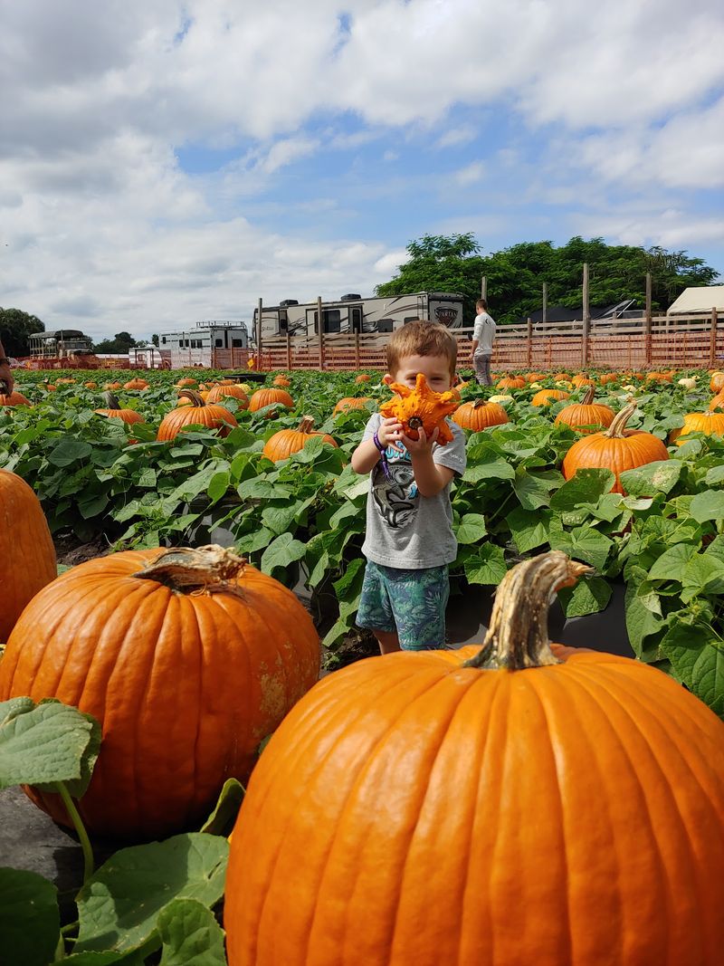 Bedner's Farm Fresh Market - Boynton Beach