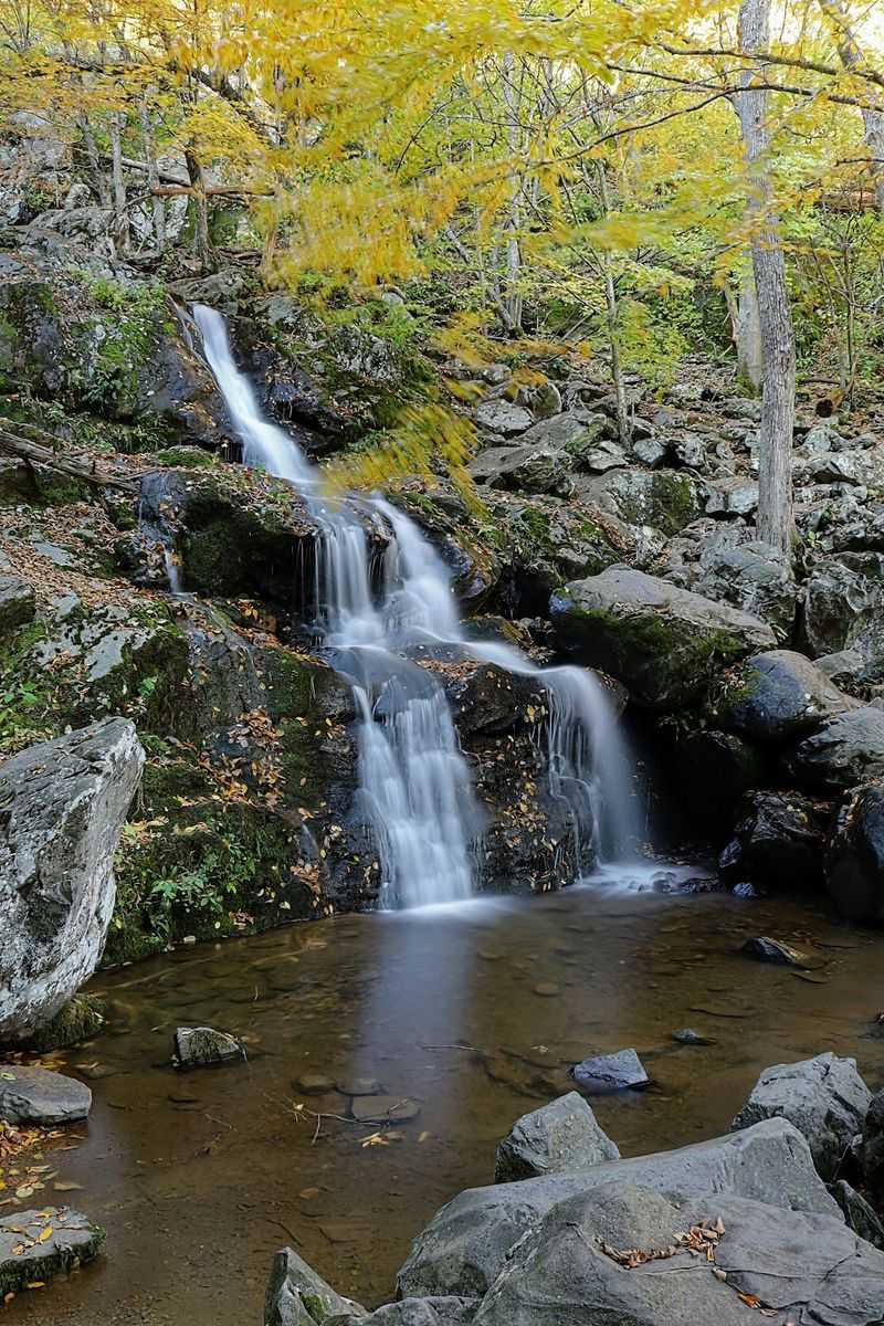 Dark Hollow Falls Trail - Stanley