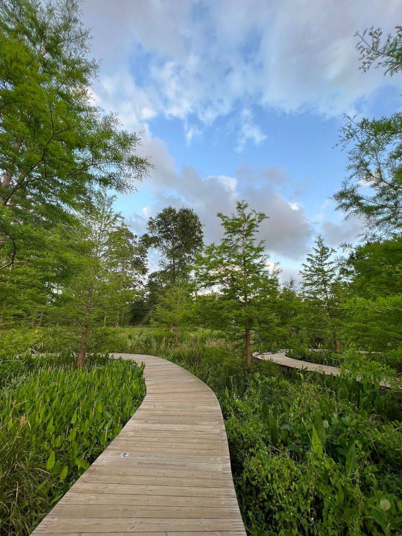 Quiet Boardwalks And Birdsong - Houston Arboretum and Nature Center in Houston, Harris County