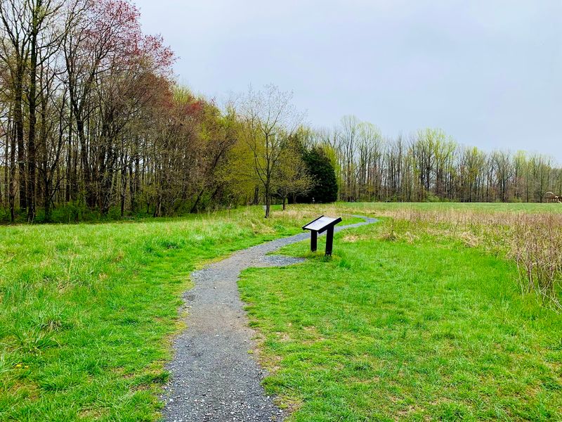 Swamp Forest Trail
