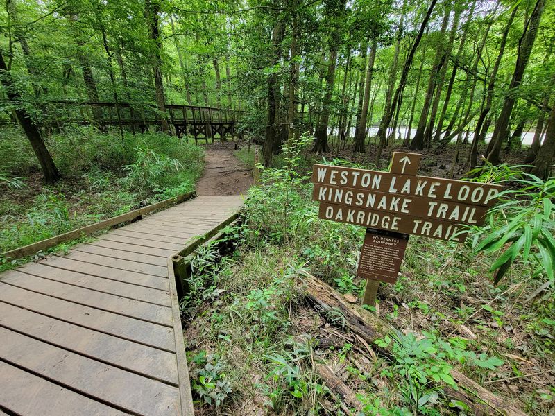 Congaree National Park - Hopkins