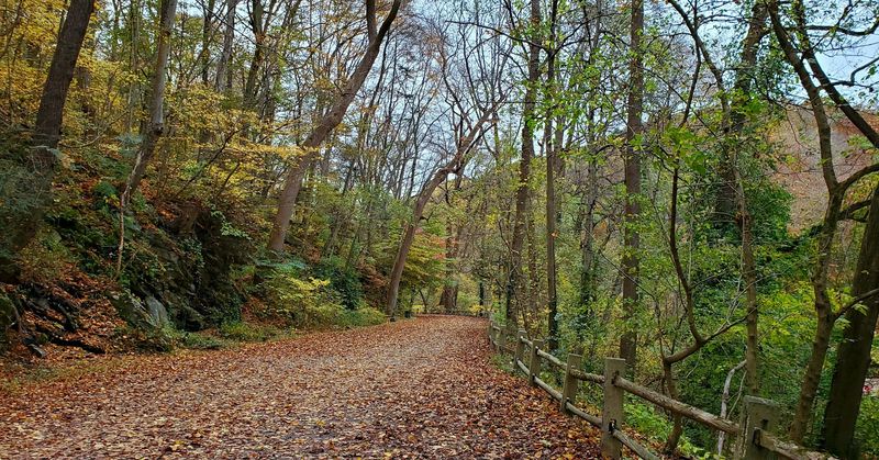 A Drive That Pairs Well With a Walk
