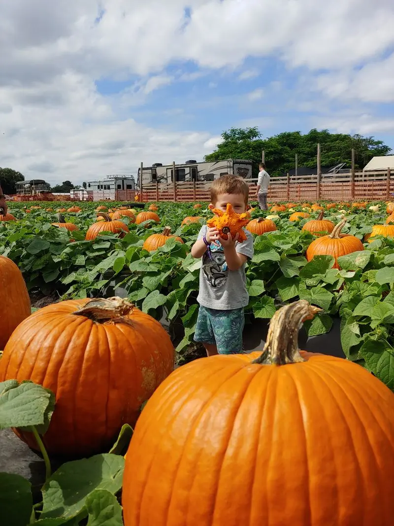 Bedner's Farm Fresh Market - Boynton Beach