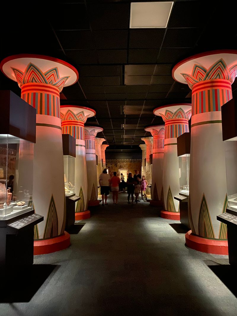 Houston Museum of Natural Science Immersive Experiences - Houston
