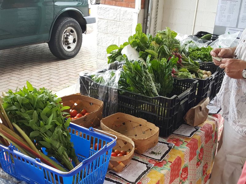 Shelton Farmers Market