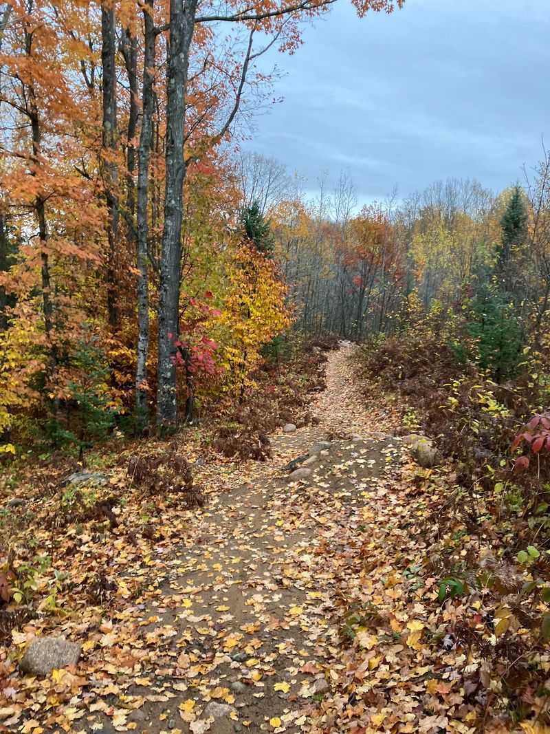 Strong Falls Trail - Athelstane