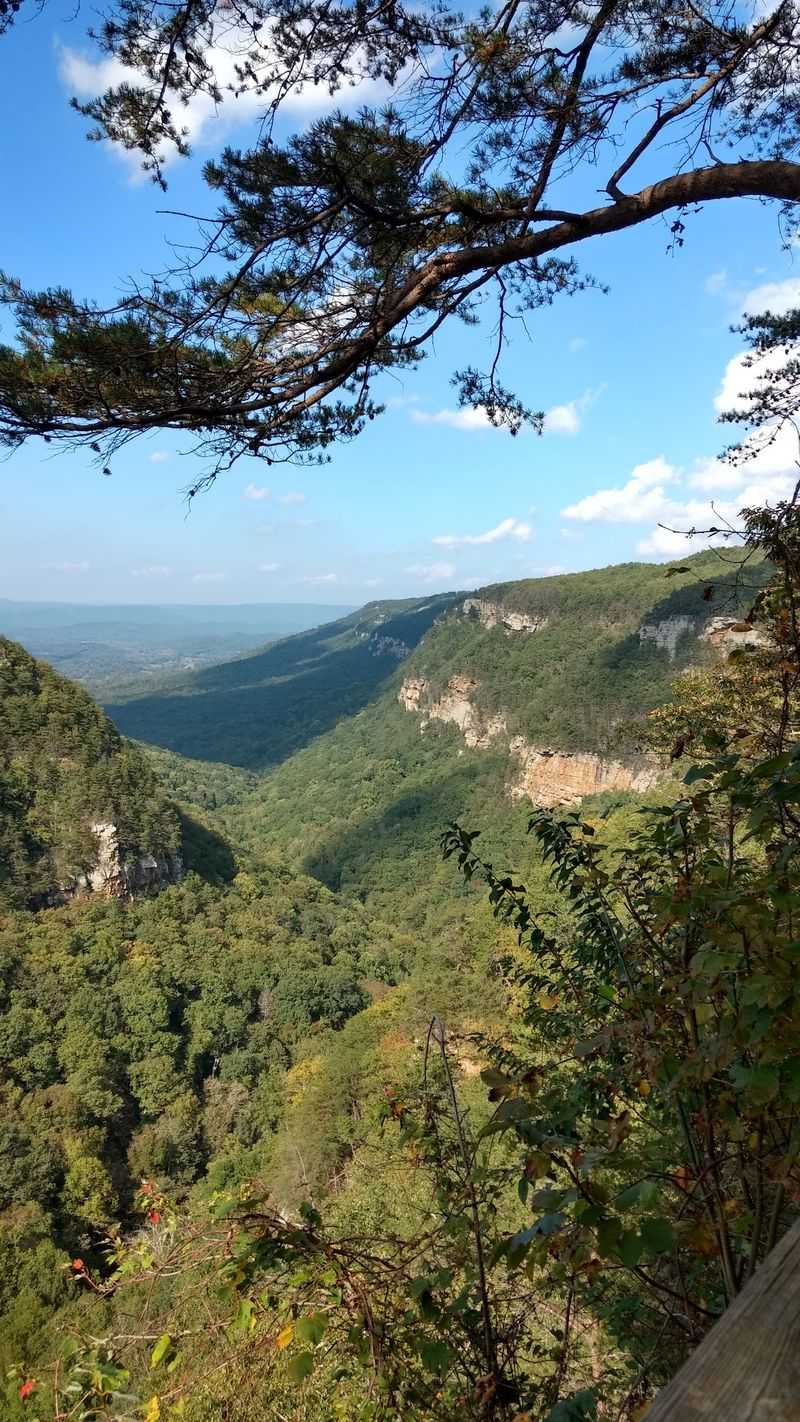 Cloudland Canyon Trail, Rising Fawn, Dade County