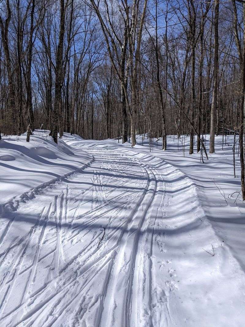 Flambeau Motorized Trail - Price County