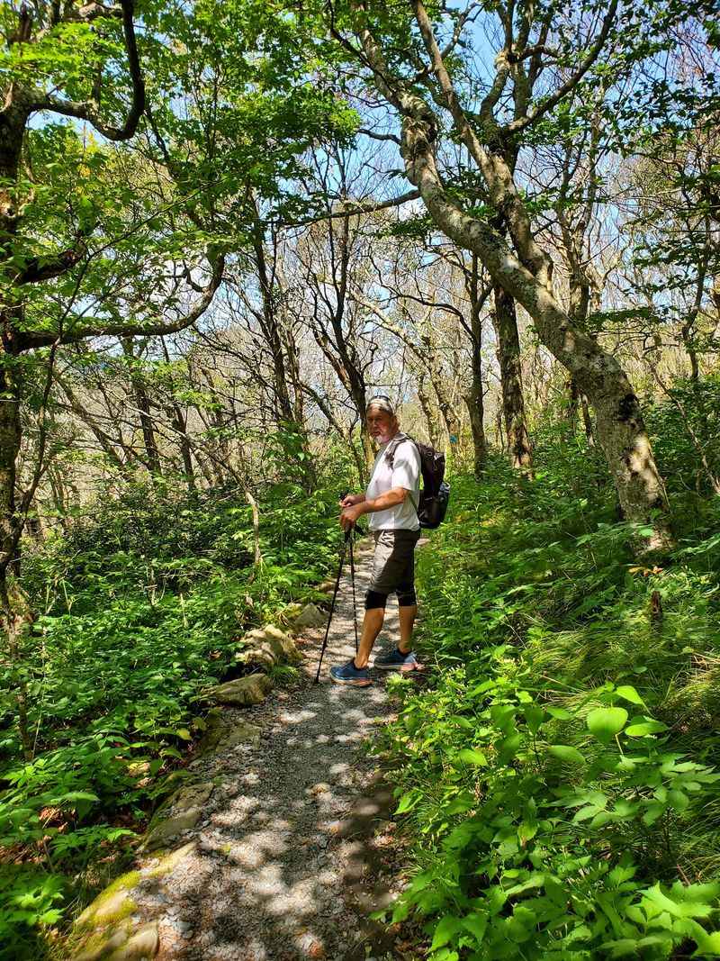 Elk Knob Summit Trail, Todd and Watauga County,