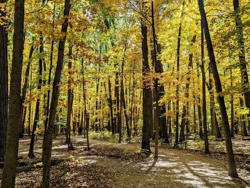 Open Sky Walking at Glacier Ridge Metro Park