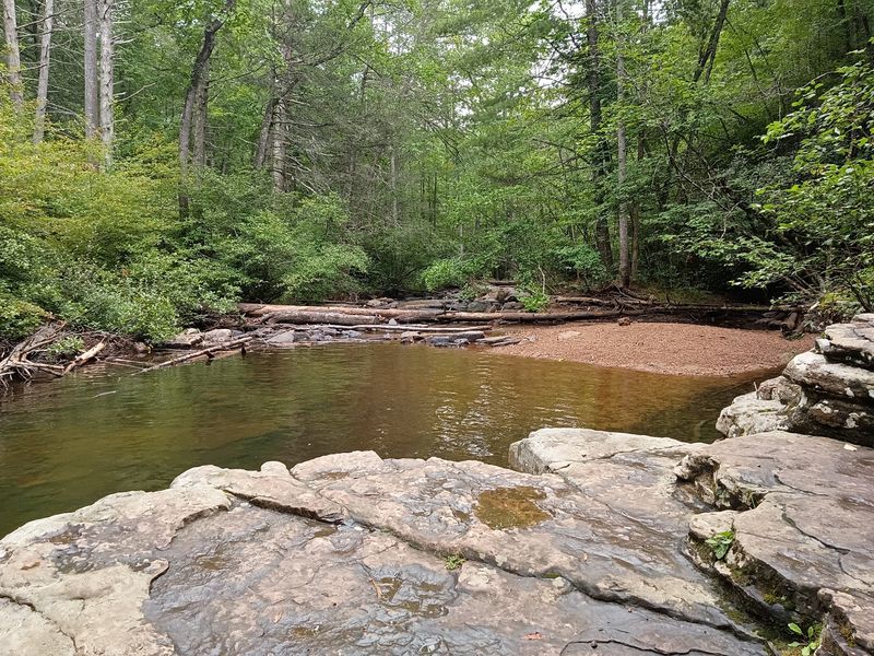 Dismal Falls - Bland County