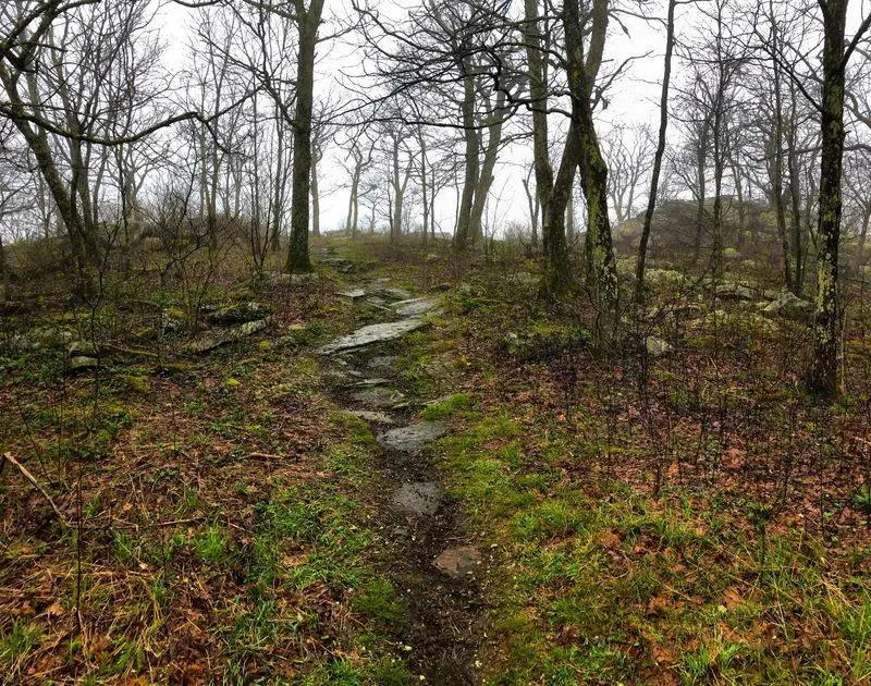 Wind Rock in Whitetop Mountain, Grayson County