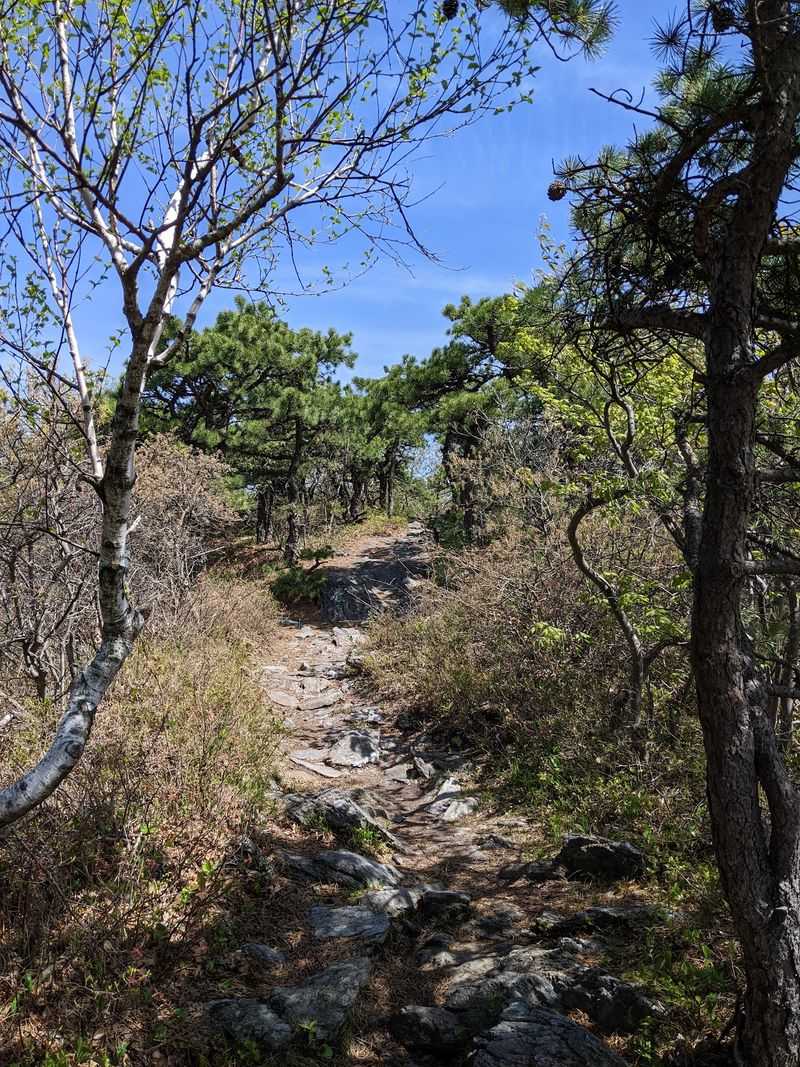 Bear Mountain Trail, Salisbury, Litchfield County