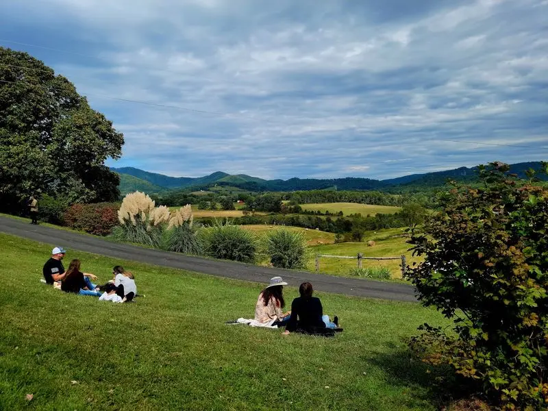 Drumheller's Orchard - Lovingston