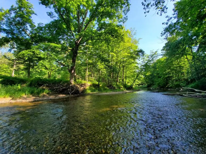 Experience The Property's Mild Wildness