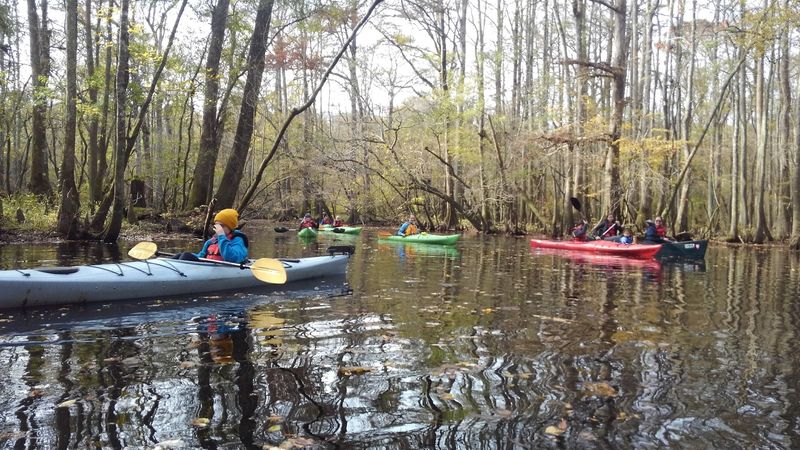 Cashie River Paddle Trail - Windsor