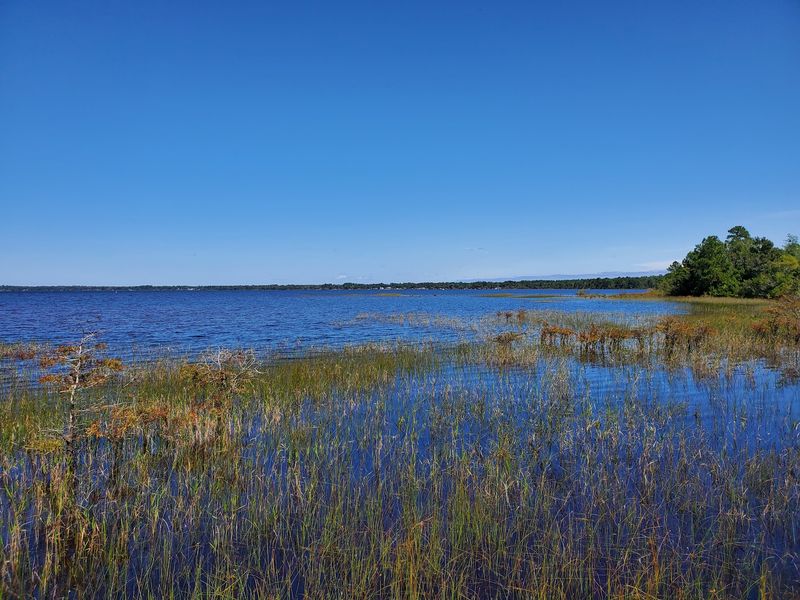 Lake Waccamaw State Park - Lake Waccamaw