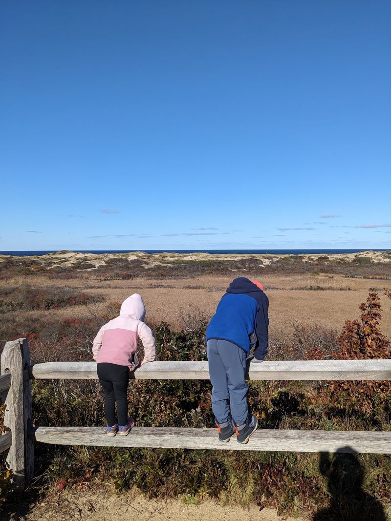 Small's Swamp Trail - Truro