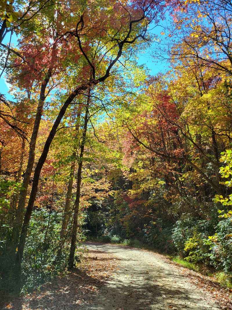 Tray Mountain Trail, Helen, White County