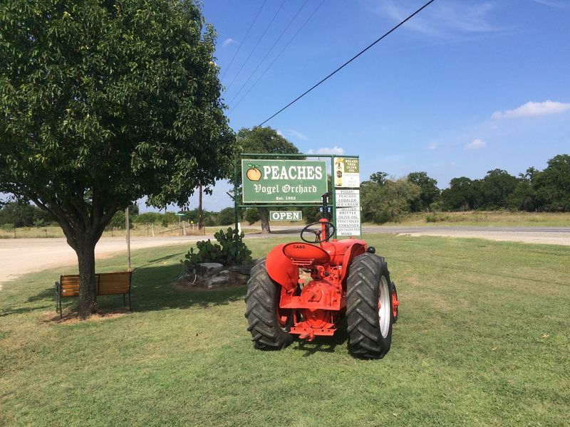 Vogel Orchard - Stonewall