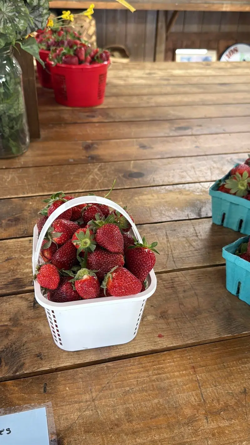 Ragan Orchards - Inman