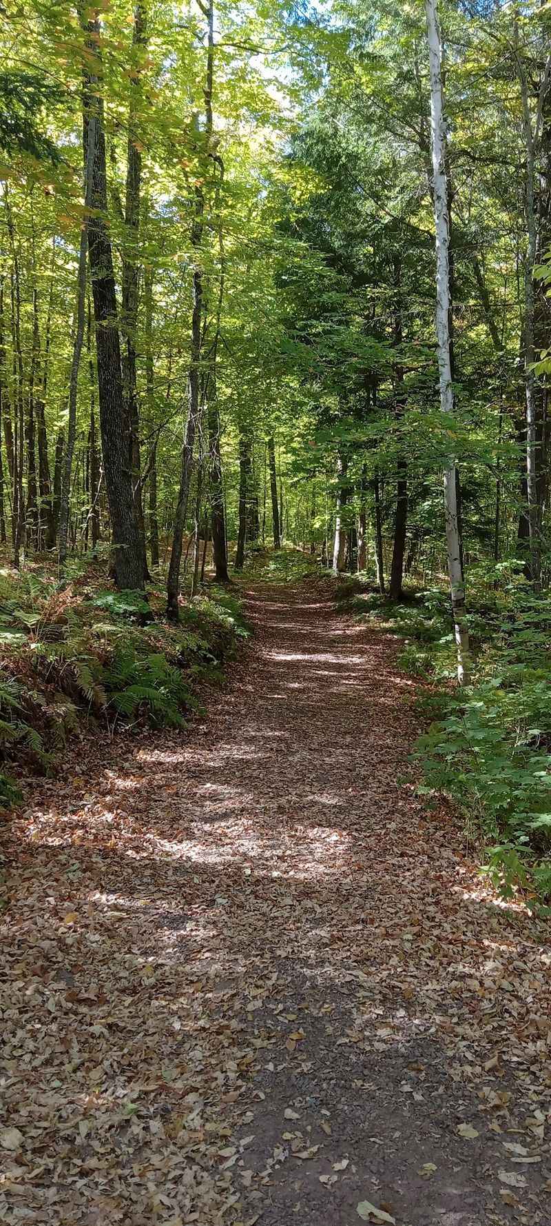 Red Granite Falls Trail - Mellen