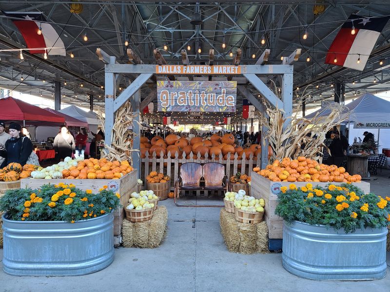 The Shed Turns Downtown Dallas Into a Giant Open-Air Market