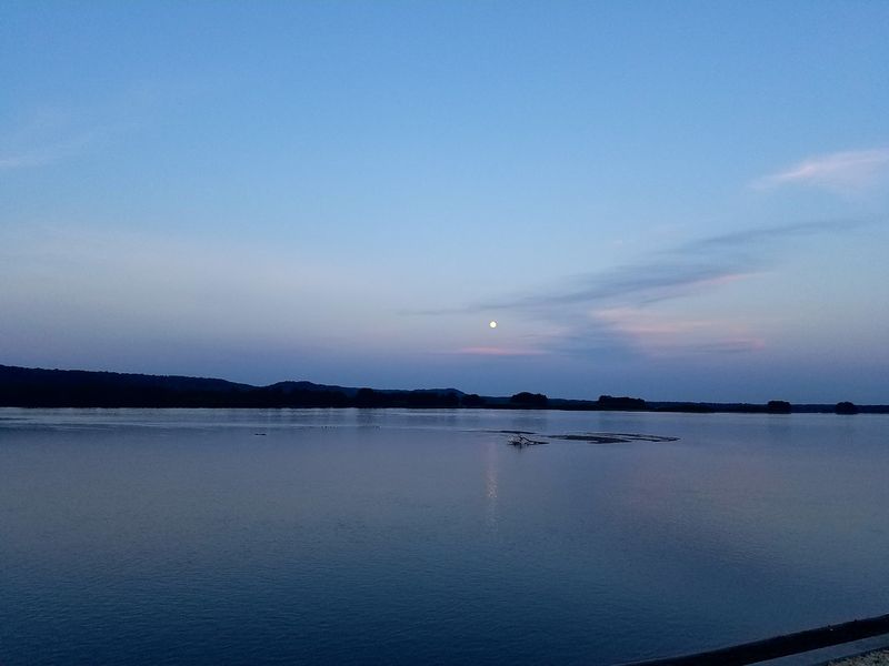 Eagles, Birds, And Wild River Watching
