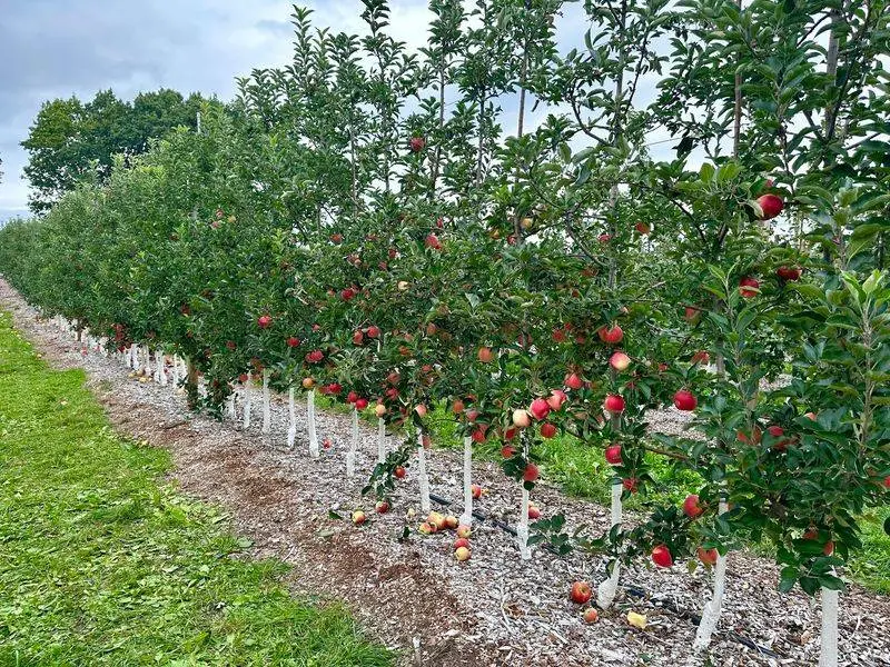 Parlee Farms - Tyngsborough