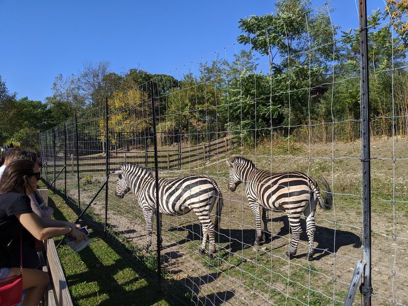 Franklin Park Zoo, Boston, Suffolk County