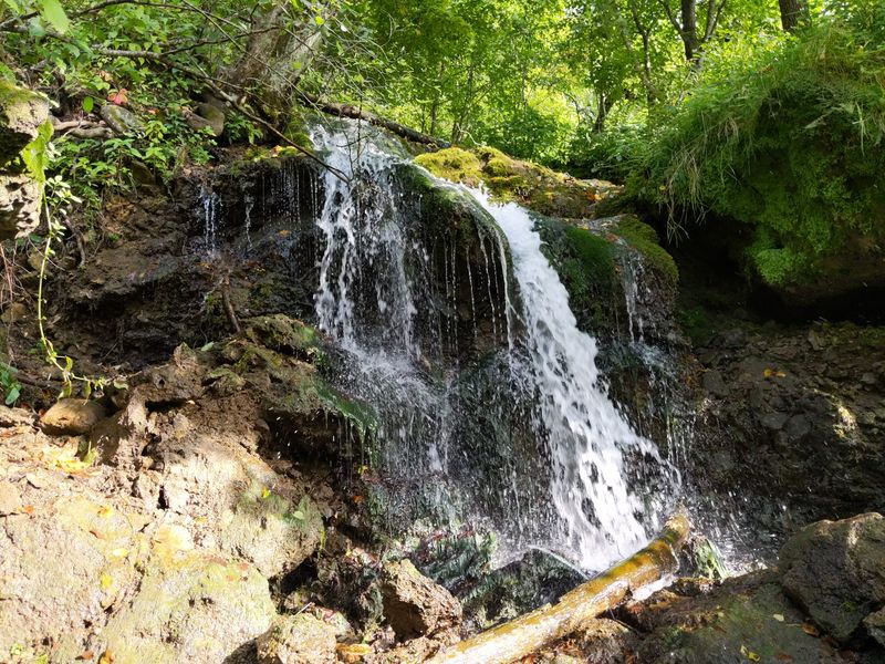Malanaphy Spring Falls Trail - Bluffton
