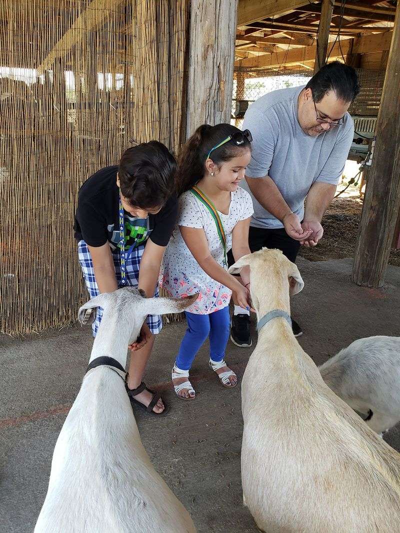 The Little Farm - Miami