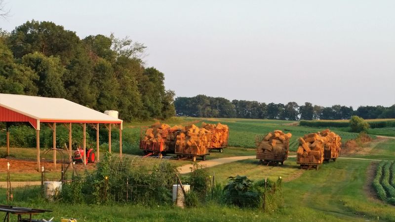 Carandale Farm, Oregon, Dane County,