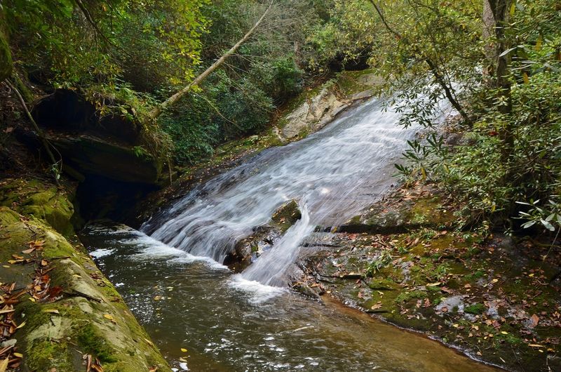 Gorges State Park - Sapphire
