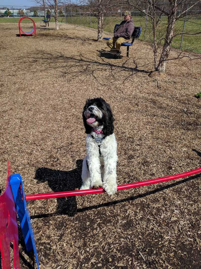 New Castle County Bark Park, Newark, New Castle County