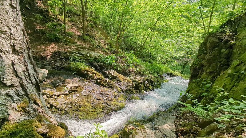 Roaring Brook Falls - Cheshire