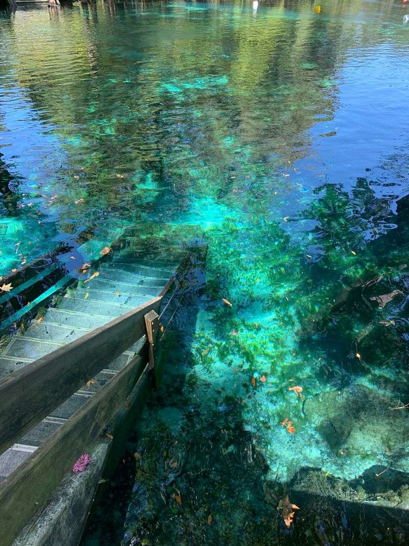 Explore the Crystal-Clear Ichetucknee River