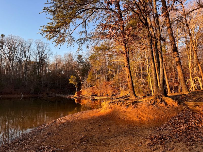 Lake Shore Trail - Troutman