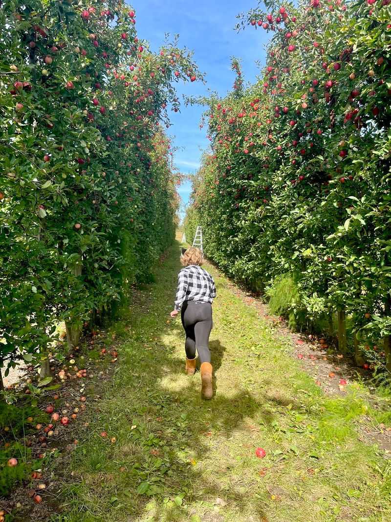 Barthel Fruit Farm, Mequon, Ozaukee County,
