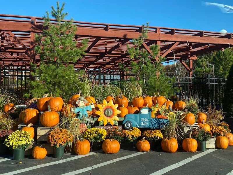 Willey Farms Country Market & Garden Center - Townsend