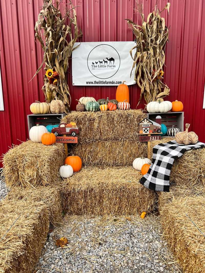 Look For Special Family Events